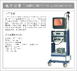 供应电子胃镜